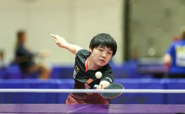 众多网球新 众多网球新