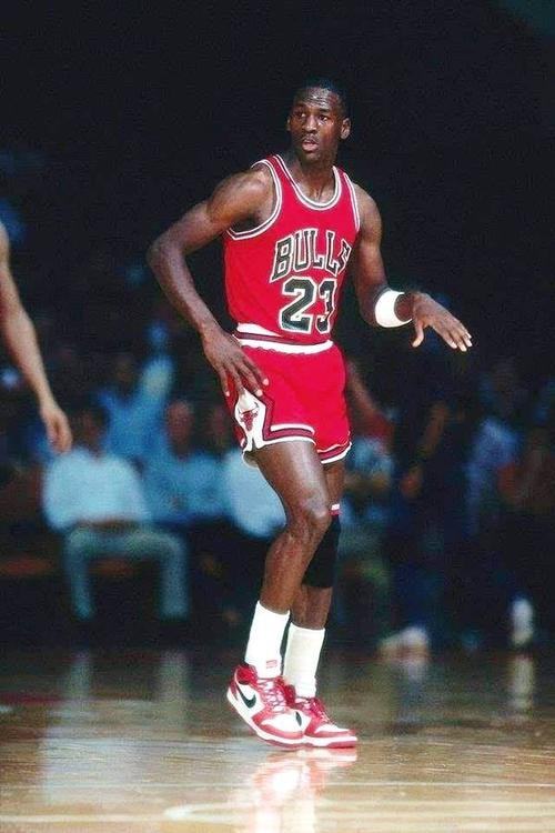 生涯初期积 生涯初期积