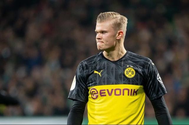 展奠定了坚 展奠定了坚