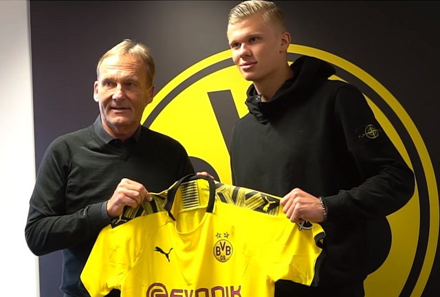 与弹跳的时 与弹跳的时